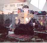 CH. Nikita Of black low lands