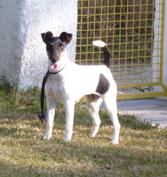CH. Espionne du manoir des presles